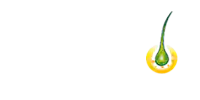 Priorin